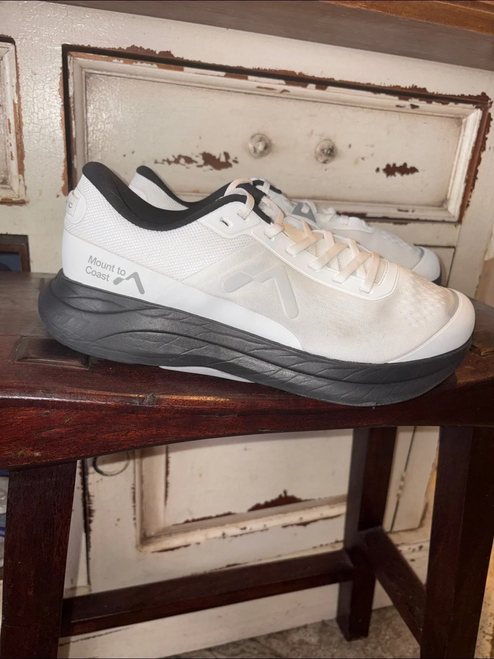 MEN'S MOUNT TO COAST P1 SHOES Men's White Athletic Sneakers